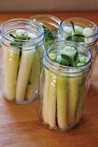 Pickled Cattail Shoots Recipe Image
